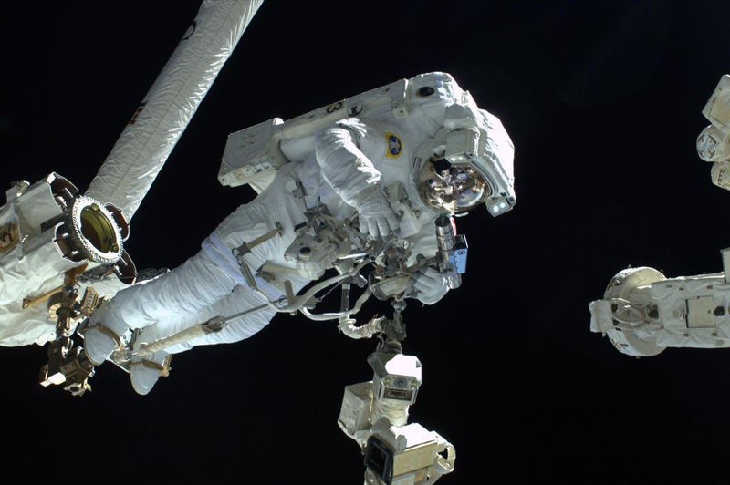 Illustration for article titled First Rule of Spacewalking: Love Thy Spacesuit
